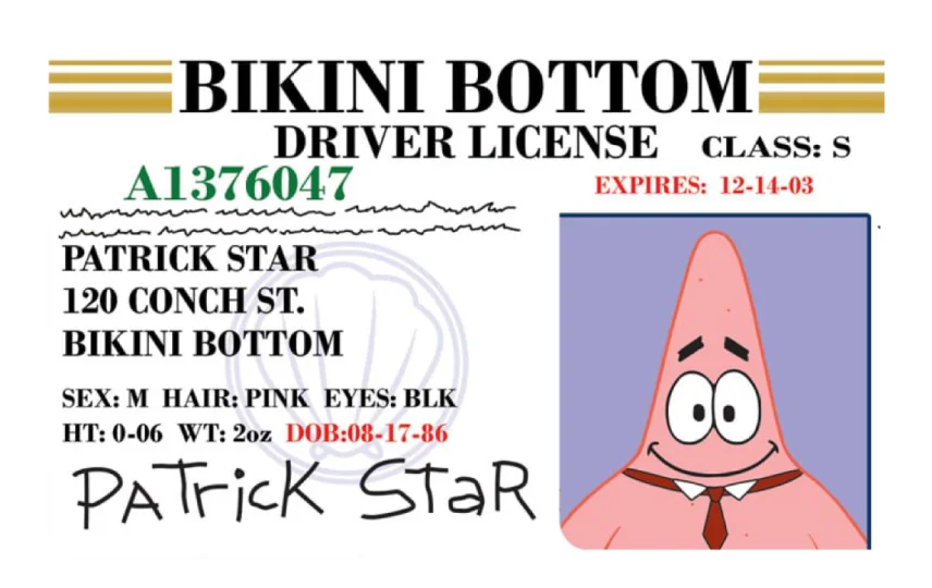 Patrick License