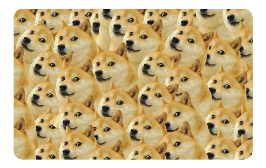 Doge