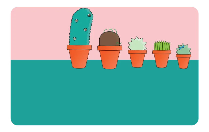 Pots Plants