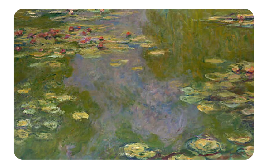 Water Lilies