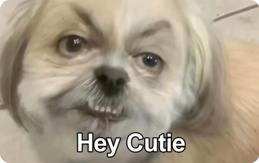 Hey Cutie