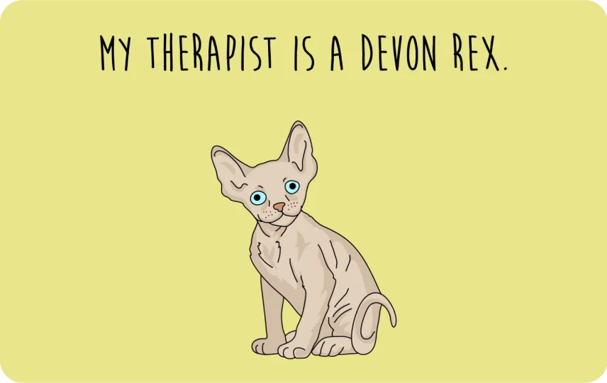 My therapist is a Devon Rex