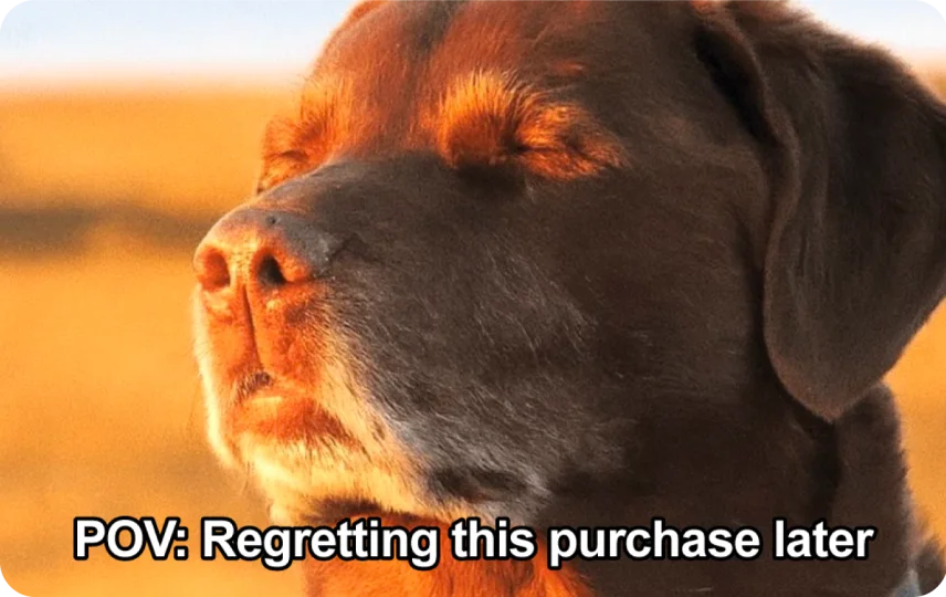 Regret