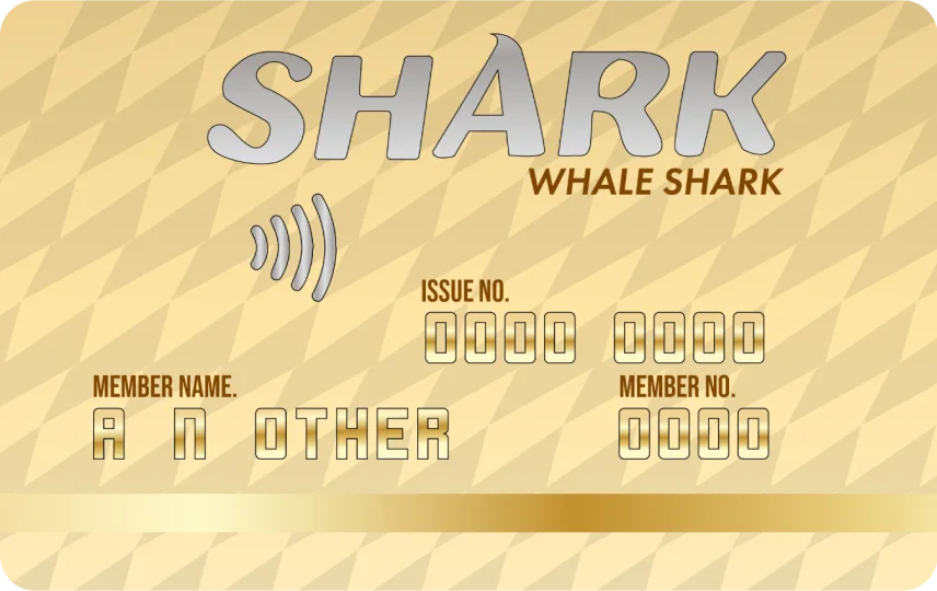 Whale Shark Card