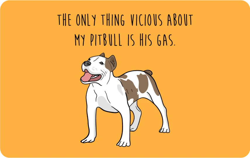 Pitbull gas
