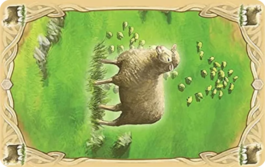 Sheep Resource