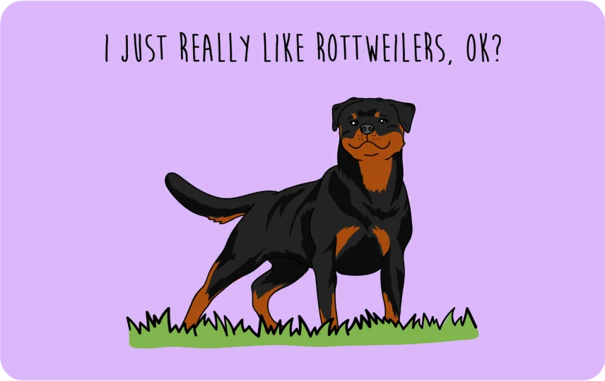 I just really like Rottweilers, ok?