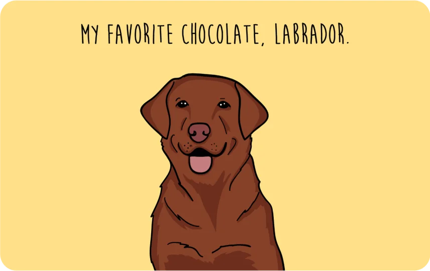 My Favorite Chocolate, Labrador