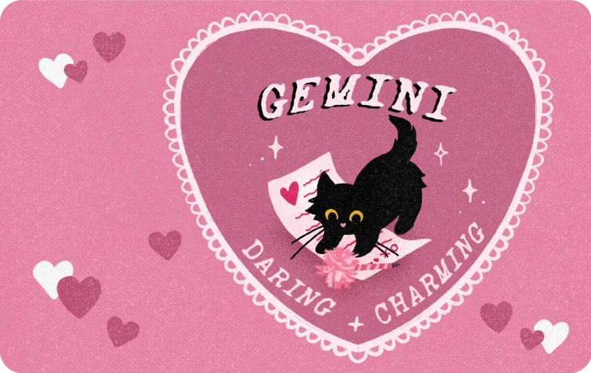 Gemini cat love