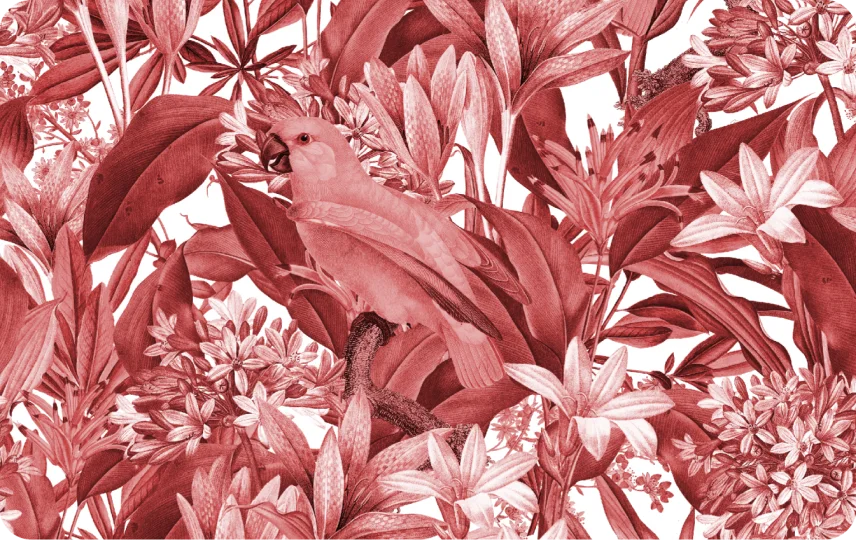 Red Parrot Floral