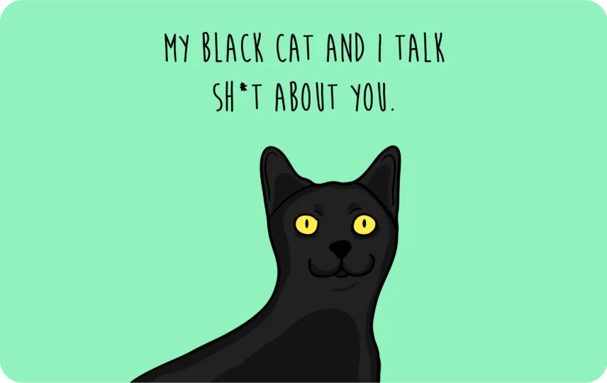 My black cat talk sh*t