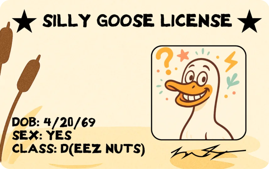 Silly Goose License