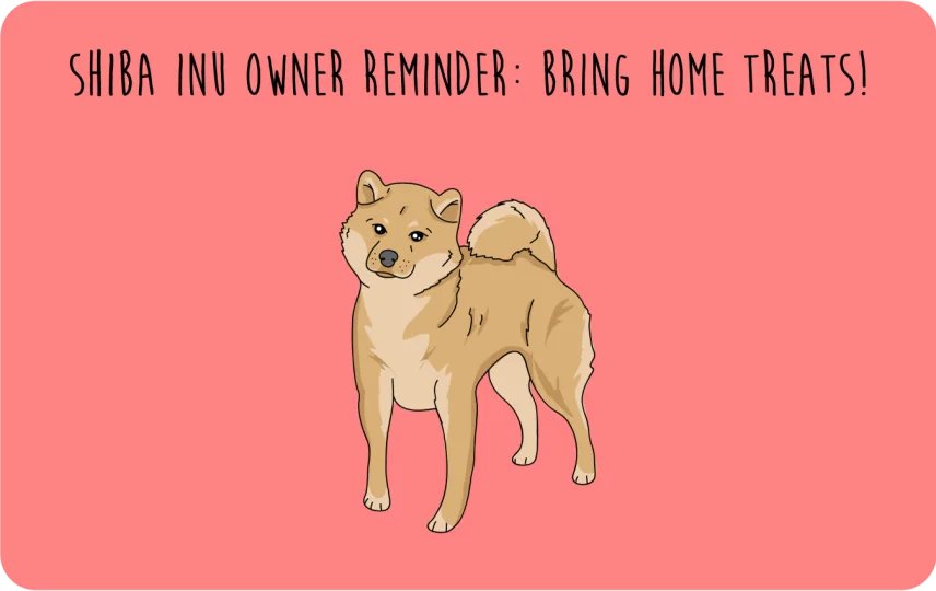 Shiba Inu owner reminder