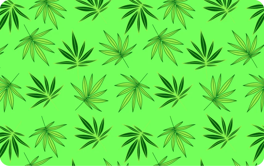Mary Jane