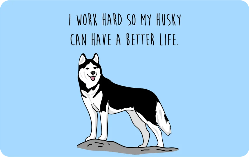 Husky can have a better life
