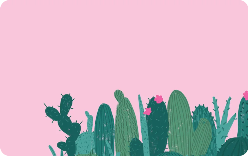 Pink Cactus