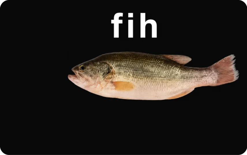 Fih