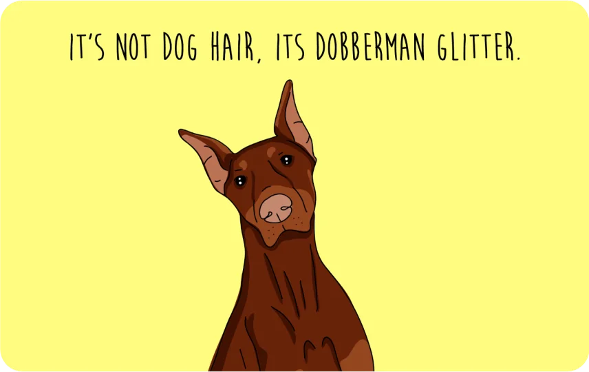 Dobberman Glitter