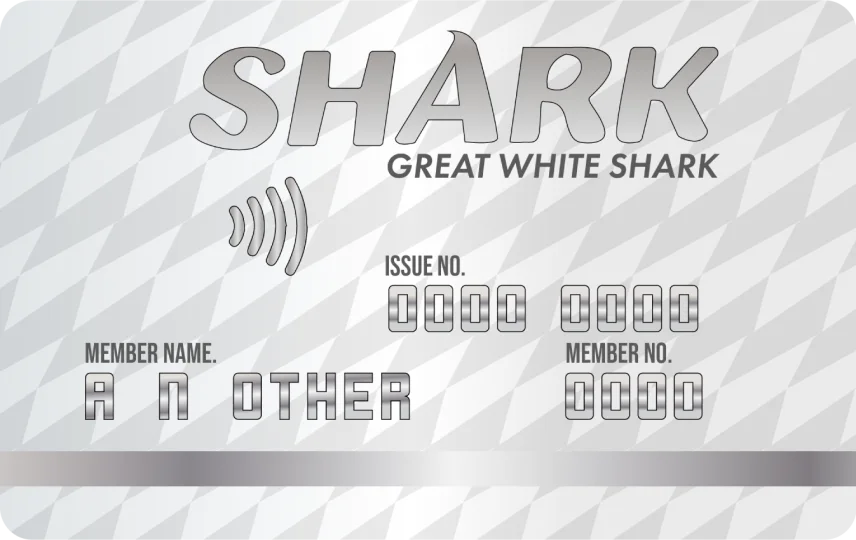 Great White Shark Card