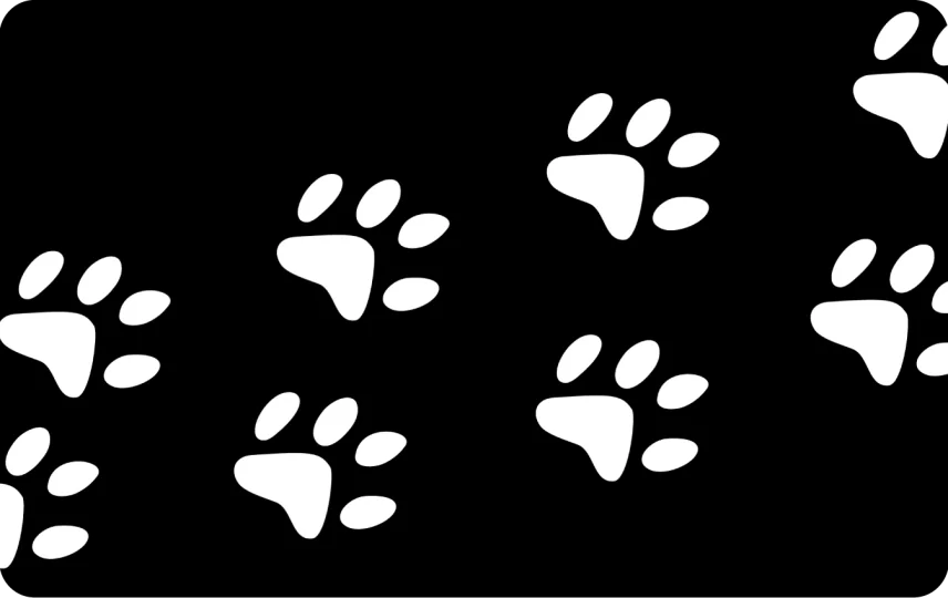 Cat Paws