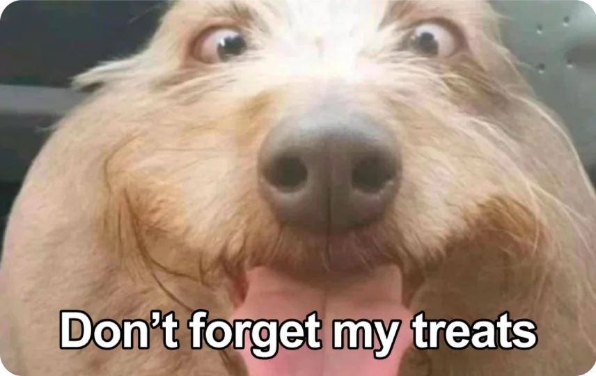 Don't Forget My Treats