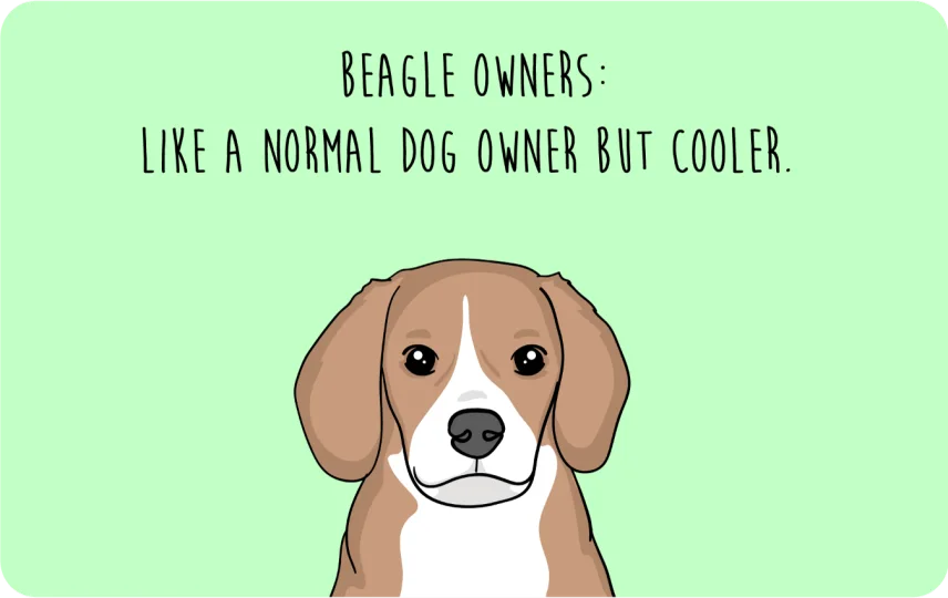 Beagle Owner