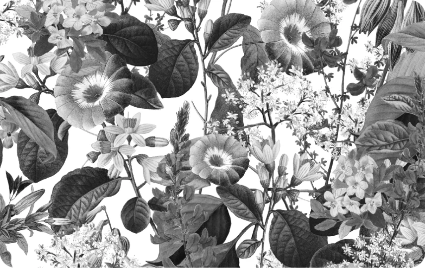 Black and White Floral