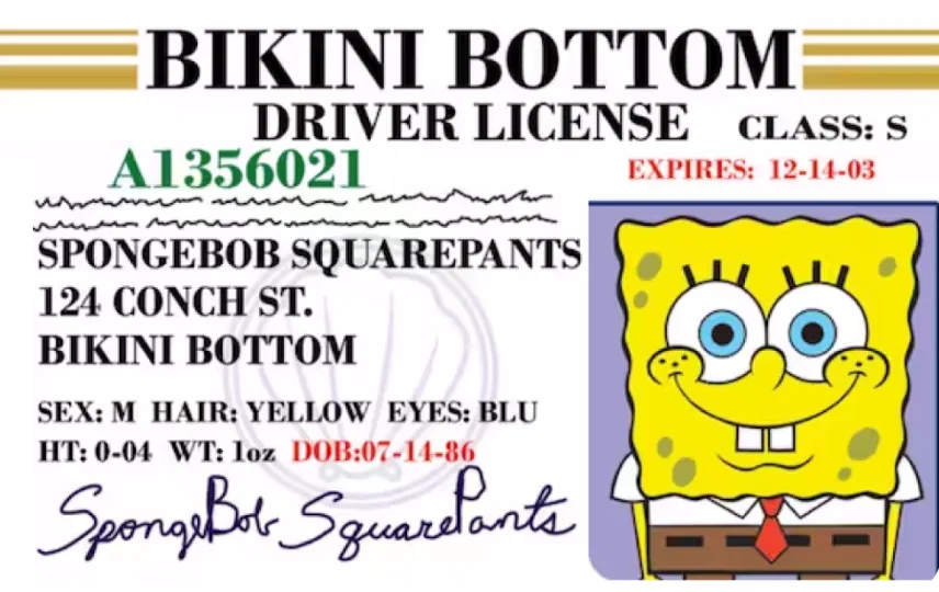 Bob License