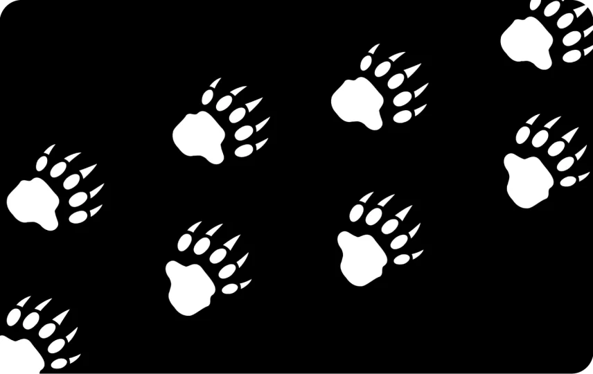 Bear Paws