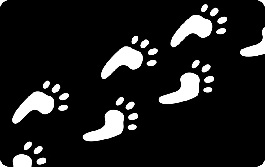 Big Foot