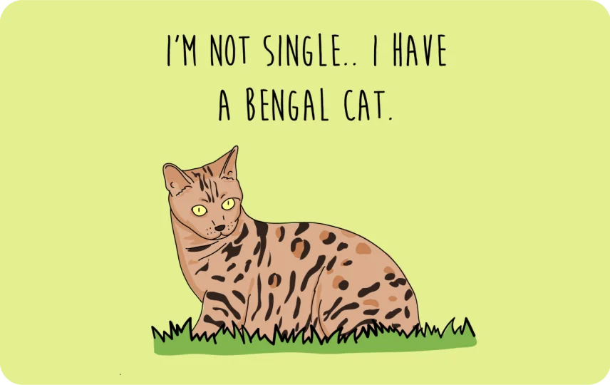 I'm not Single I got a Bengal