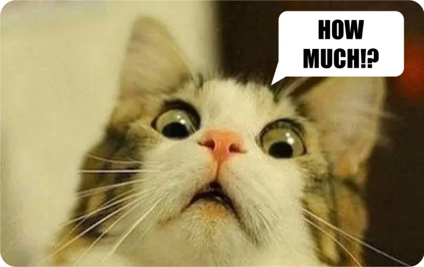 How Much!?