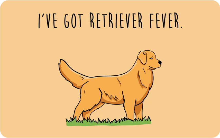 I've got Retriever Fever