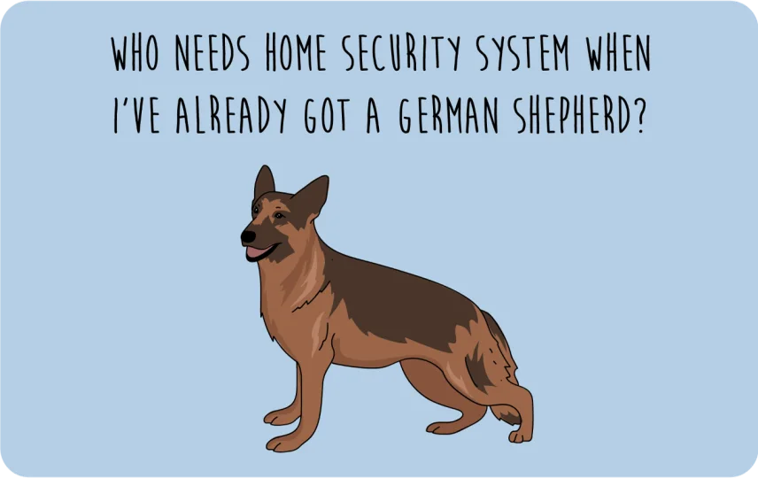 Security Shepard