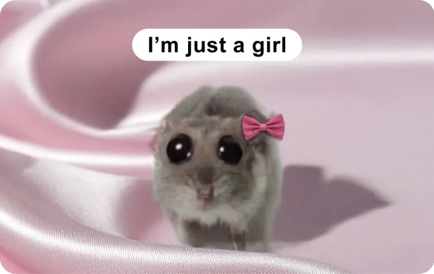 I'm Just a Girl