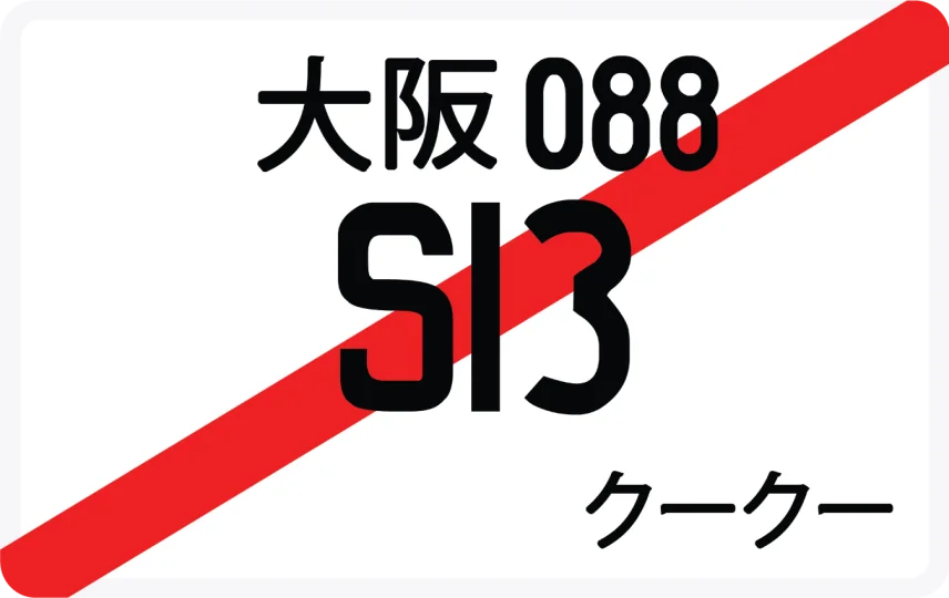 S13