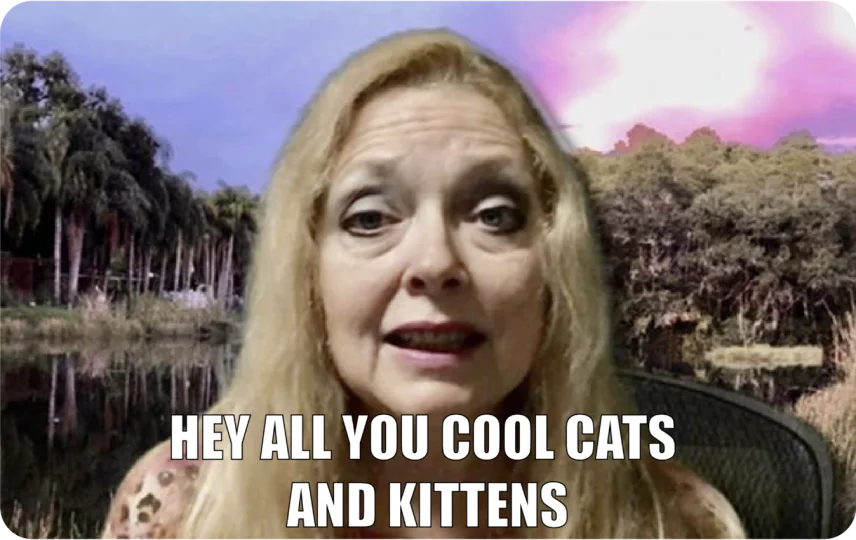 Cool Cats and Kittens