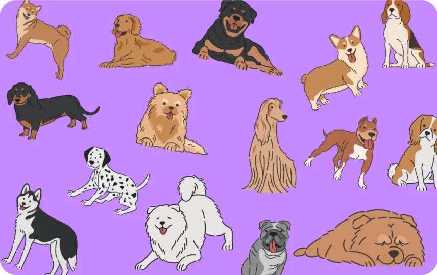 All Dogs