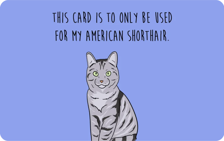 this card only for American Shorthair