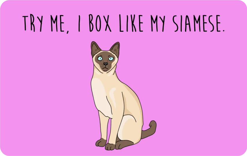 Try me, I box like my Siamese